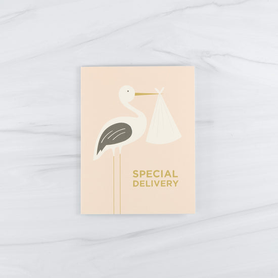 Special Delivery Greeting Card