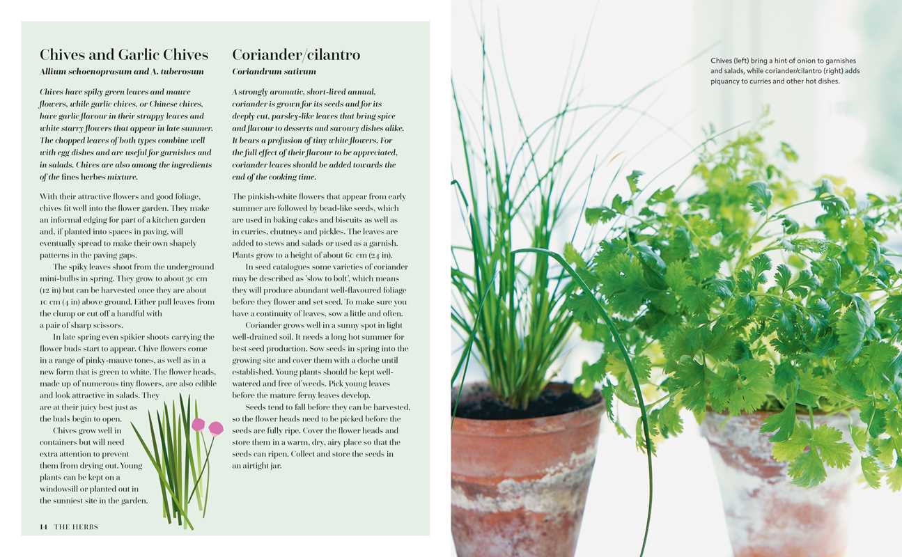 Herb Kitchen Recipe Book