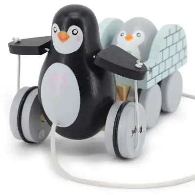 Penguin and Egg Pull Along Toy