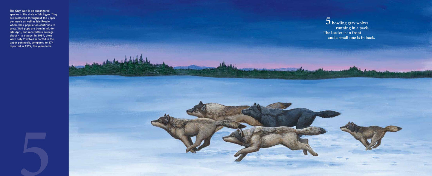 The Michigan Counting Picture Book