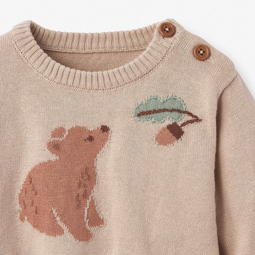 Bear Knit Baby Sweater and Pant Set