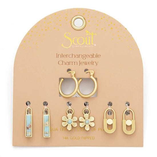 Interchangeable Charm Earring