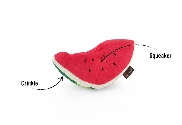 Watermelon Dog Toy