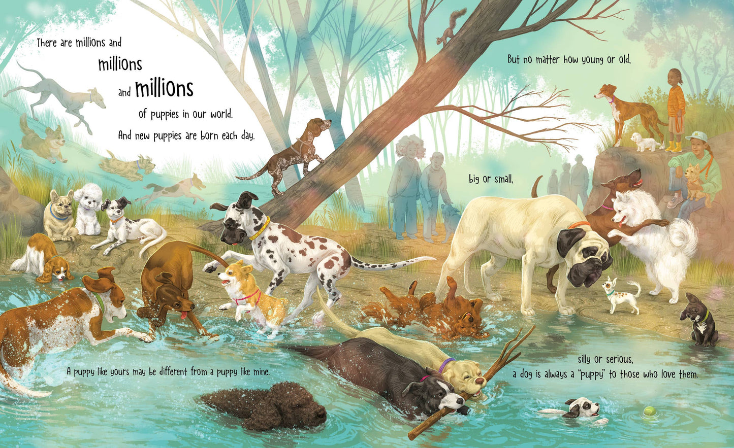 A Puppy Like Yours Book