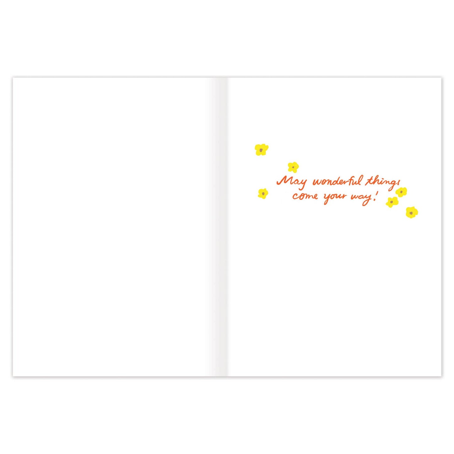Duck Delivery Birthday Card