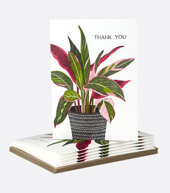 Pretty Plant Boxed Cards