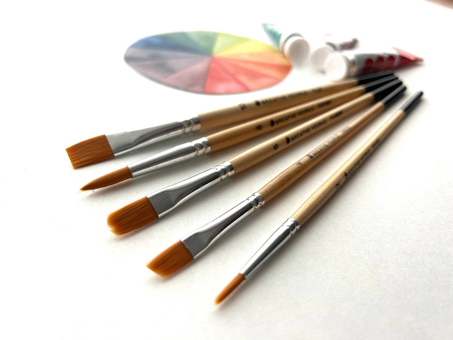 Watercolor Brush Set