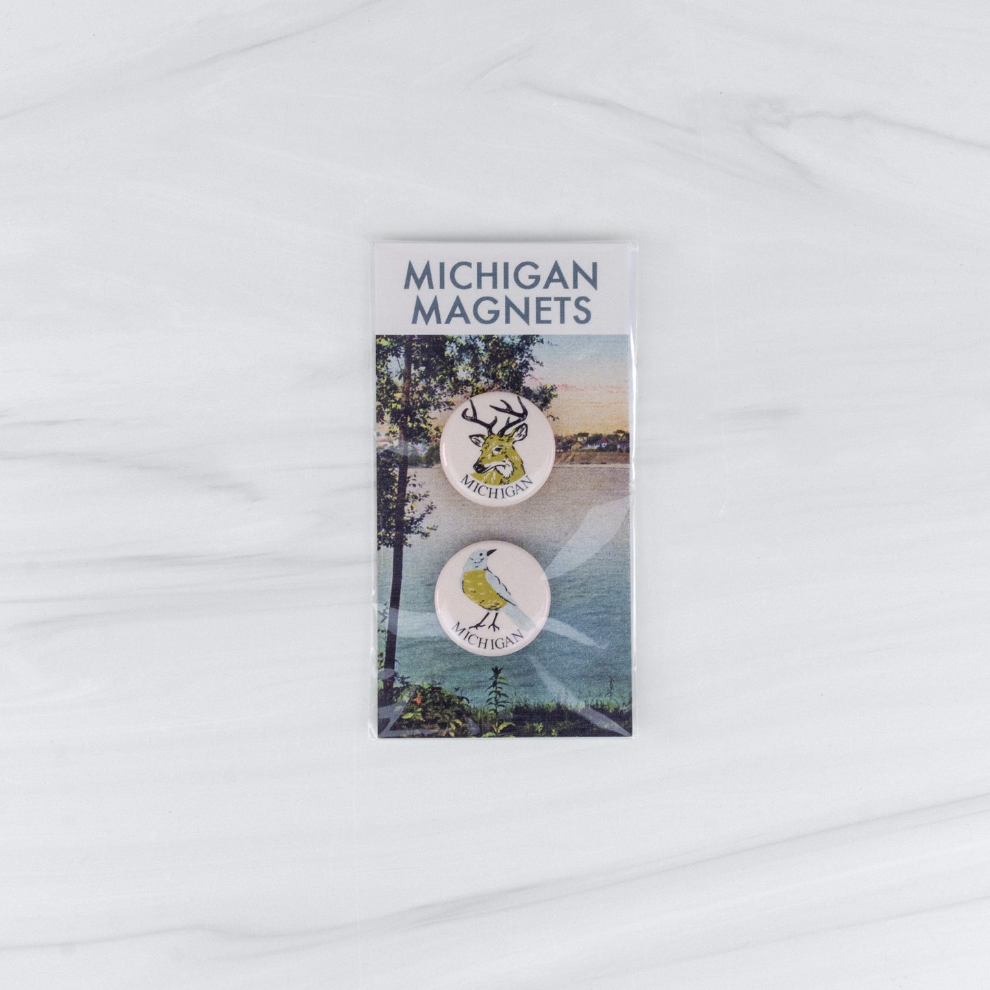 Michigan Button Magnet Set