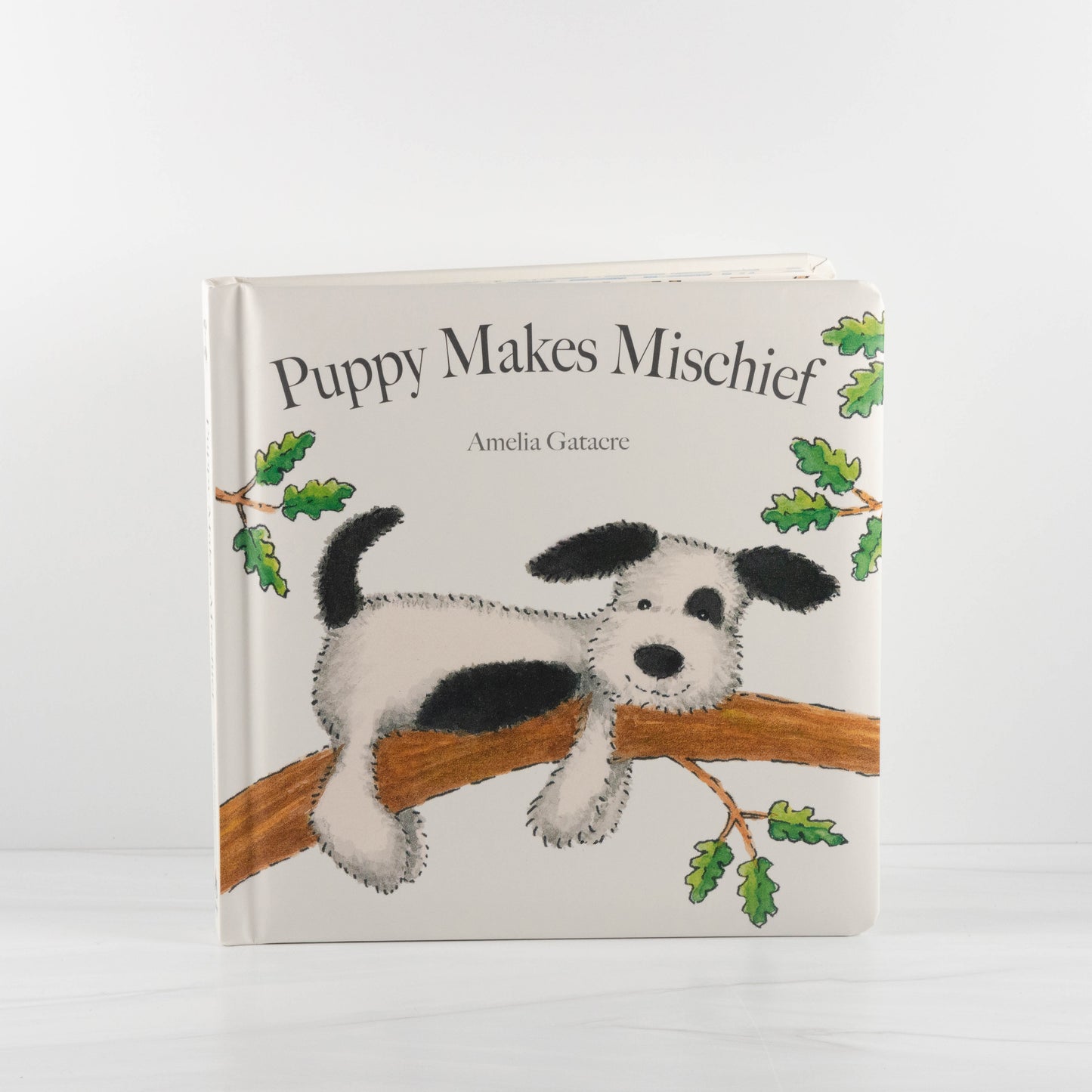 Puppy Makes Mischief Book