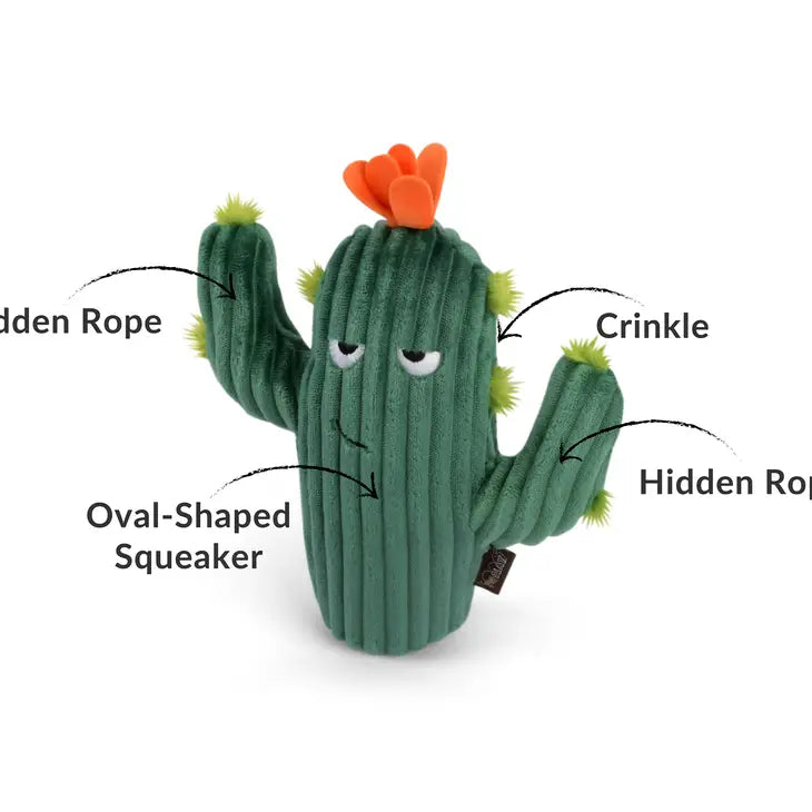Prickly Cactus Toy
