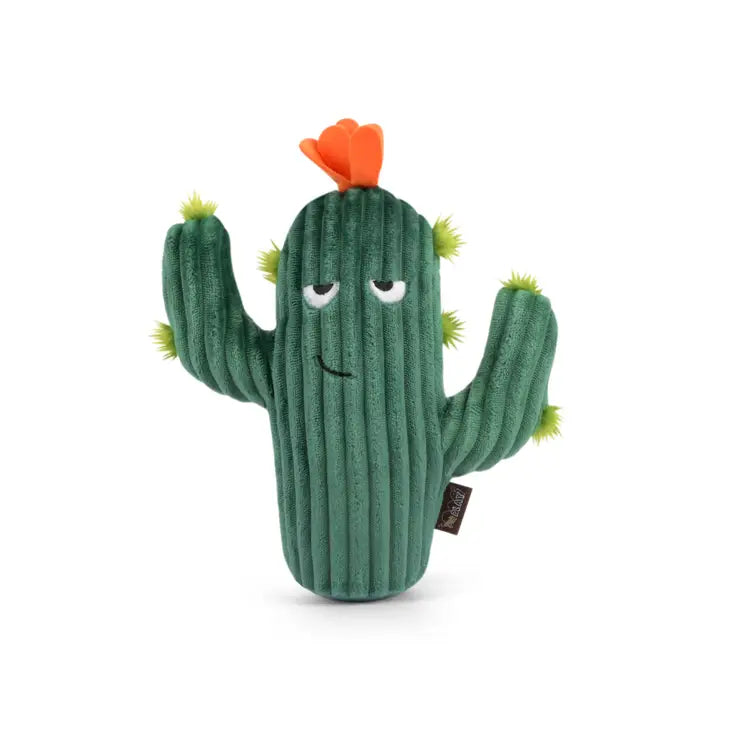 Prickly Cactus Toy