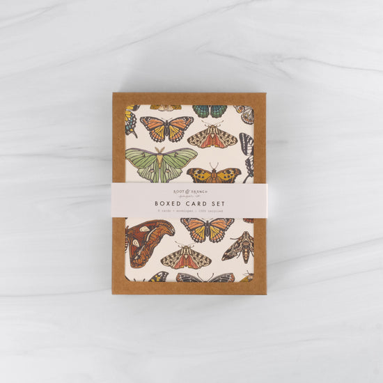 Load image into Gallery viewer, Butterfly and Moth Boxed Card Set
