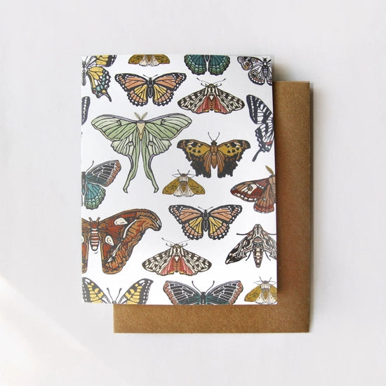 Load image into Gallery viewer, Butterfly and Moth Boxed Card Set
